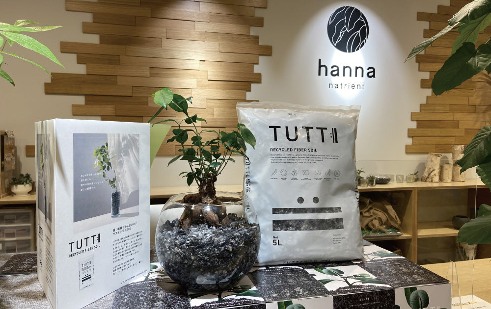 繊維専門商社が花とみどりのプロフェッショナルと協働～ポリエステル繊維リサイクル培地『TUTTI®』の店頭・EC販売がスタート～